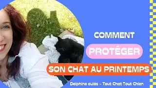 Un printemps r&eacute;ussi avec son chat, comment prot&eacute;ger mon chat @DelphineOules