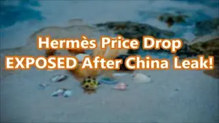 Herm&egrave;s Price Drop EXPOSED After China Leak!