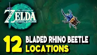 Zelda Tears of the Kingdom BLADED RHINO BEETLE LOCATIONS (Bladed Rhino Beetle Farming Route)