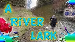 A River Lark