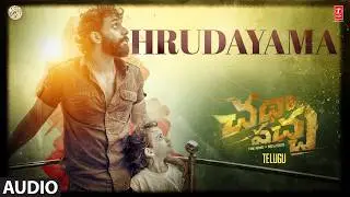 Hrudayama Audio | Chatha Pacha: The Ring Of Rowdies | Roshan Mathew,Arjun,Vishak Nair | SEL