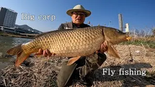 2022 Spring Carp Fly Fishing ( 2022년 봄 잉어 플라이 낚시 )