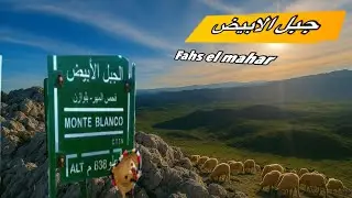 شنو اللغز لي كيخلي الناس كيرجعو للجبل الأبيض؟