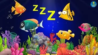 Sleep Instantly Within 3 Minutes &hearts; Mozart Brahms Lullaby ♫ Lullaby for Babies to Go to Sleep #513