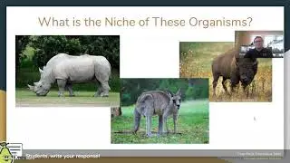 Habitat and Niche