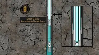 Black Gold Barrel Length Plunger Pump