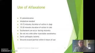Alfaxalone