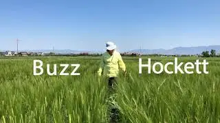 New Barley Varieties with Jamie Sherman | 2020 Virtual Field Day
