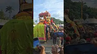 Mysore Dasara 2025 | Jamboo Savaari #mysoredasara2025 #mysoredasara #ytshorts #shorts #abhimanyu