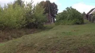 Плиса