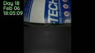 Christopher Butler Live Stream