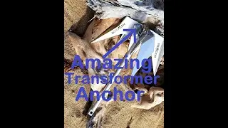 Best Anchor For Reef And Sand