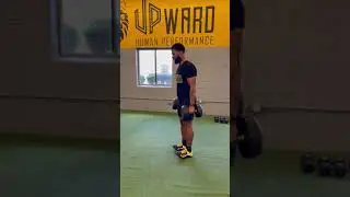 DB Calf Raises