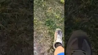 STOMPY STOMP 👟 #shorts