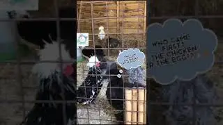 Who says we can&rsquo;t&hellip; Learn about animal care??