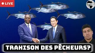 🇸🇳La p&ecirc;che s&eacute;n&eacute;galaise a-t-elle &eacute;t&eacute; sacrifi&eacute;e sous Macky Sall ?