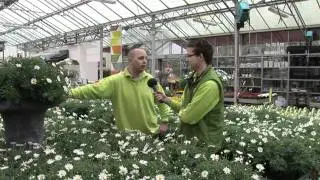 Life and Garden genomineerde ROC Kop van Noord Holland