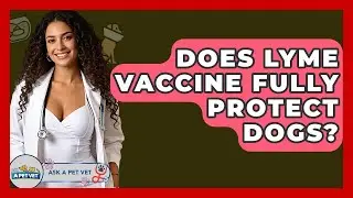 Does Lyme Vaccine Fully Protect Dogs? - Ask A Pet Vet