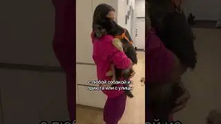 Вайт вас очень ждёт🙏🏼 все подробности в комментариях👇🏼 #dog #собака #животные