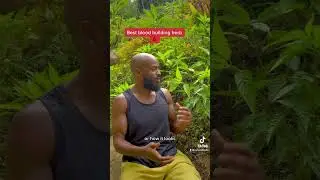 Most Iron rich herb in the world?? No more anemia!
