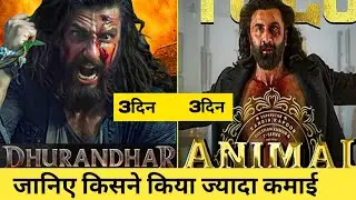 Dhurandhar Box Office Collection Day 3 || Animal Box Office Collection Day 3