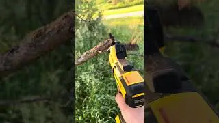 Tree Pruning ASMR #Shorts