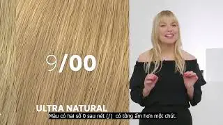 WELLA EDUCATION | KOLESTON ME+ | Hướng dẫn chi tiết c&ocirc;ng thức nhuộm phủ bạc FAST