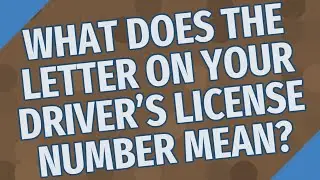 What does the letter on your driver's license number mean?