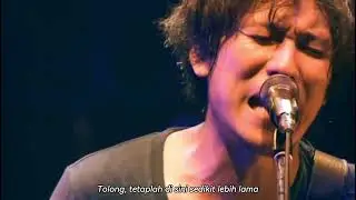 back number - Shiawase (幸せ) [live stay with us 2013] terjemahan bahasa Indonesia