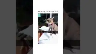 Accuracy 1% damage 99%