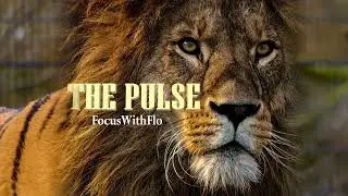 THE PULSE (soundtrack) by FocusWithFlo