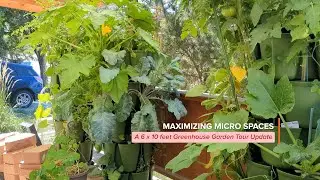 Maximizing Micro Spaces - A 6 x 10 feet Greenhouse Garden Tour | Greenstock Pruning | S1 | Ep. 6