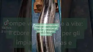 Pompe volumetriche a vite: il cuore pompante per gli impianti di #biogas e #biometano.