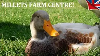 Millets Farm Centre, Oxfordshire! (2024)