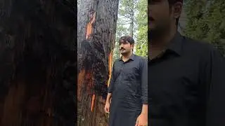 Murree weather beautiful my channel subscribe like and share love you sab dosta nu
