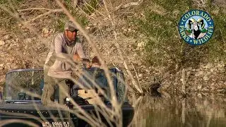 Fly Fishing Colorado - September - Arctic Grayling