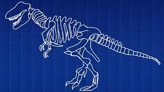 How Does Evolution Work?