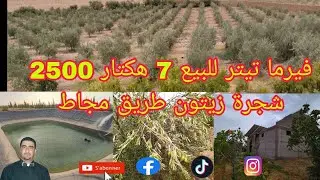 🛑هدا ليس متوفرا انه مباع 🔴 فيرما للبيع تيتر فونصي مساحة 7هكتار فيها 2 بيار او 2500شجرة زيتون او كوري