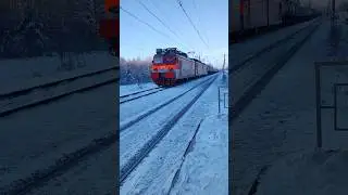 ВЛ11м - 409/408Б с грузовым поездом проследует о.п. Новогромово.#мжд #вл11м #железнаядорога #railway