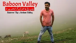 Exploring BABOON VALLEY | Neelum Valley Kashmir | Pakistan's Toughest OFFRoad Jeep Track