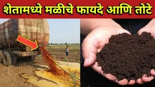 शेतामध्ये मळीचे फायदे आणि तोटे // Advantages and Disadvantages of Crops in the Field