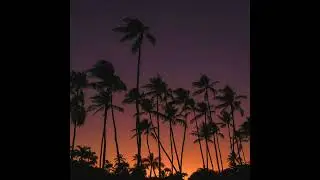 Pauliasi Yavimaiwai - Voqa Mai Palmerston North (Official Music)