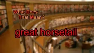 What does great horsetail mean?