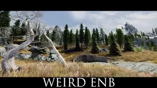 TES V - Skyrim Mods: Weird ENB