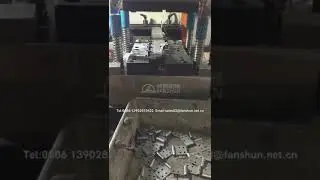 FANSHUN-Flag Hinge Fully Automatic Mould_旗型合页_全自动模具