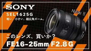 【SONY FE 16-25mm F2.8 G】ライバルレンズと徹底比較！このレンズ、どんな人が買うべき？【SEL1625G】
