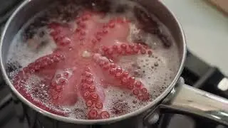 Octopus: The Genius of the Ocean@goldenoctopusofficial #octopus #octopusstory #octopusrecipe