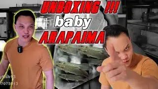 AKHIRNYA DATENG JUGA... UNBOXING IKAN MONSTER VERSI KECIL ❗❗❗