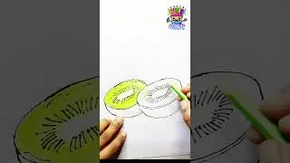 How to Draw a Kiwi #shortvideo #short #shorts