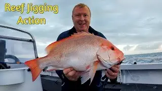 🐟 Jigging the Shallow Reefs of Hervey Bay &ndash; Hooking Into Dinner!